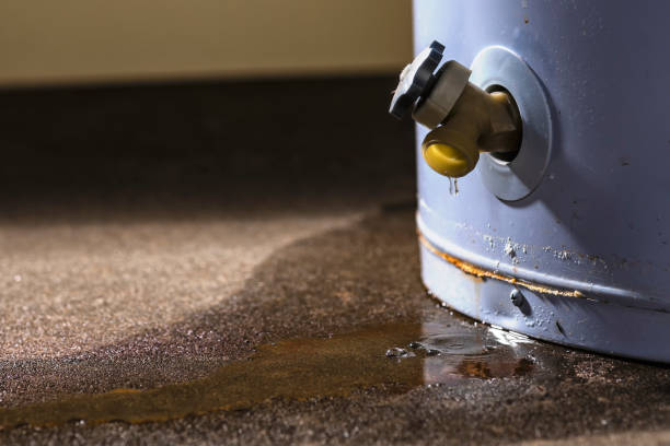 Best Commercial water damage restoration  in Jim Thorpe, PA