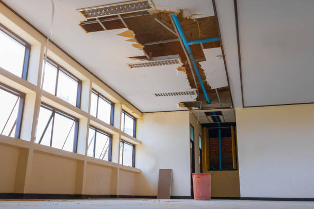Best 24-hour water damage restoration  in Jim Thorpe, PA