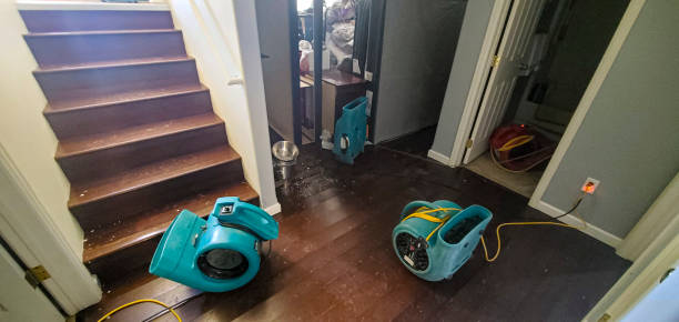 Best 24/7 water damage repair  in Jim Thorpe, PA