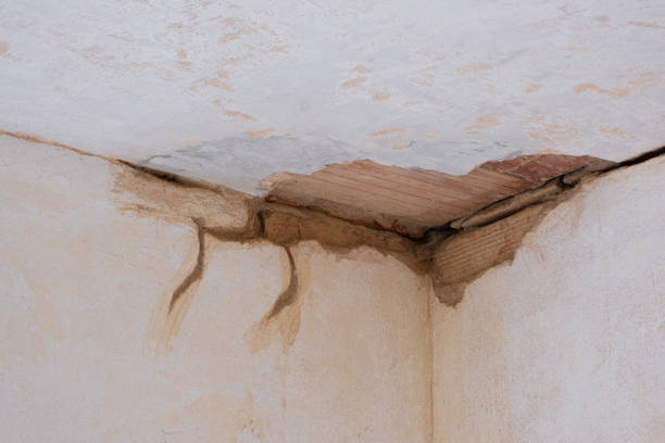Best Carpet water damage restoration  in Jim Thorpe, PA