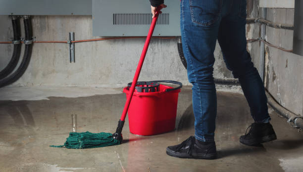 Best Water damage restoration near me  in Jim Thorpe, PA