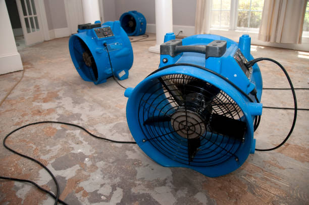 Best Professional water damage repair  in Jim Thorpe, PA
