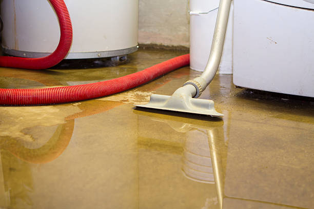 Best Ceiling water damage repair  in Jim Thorpe, PA