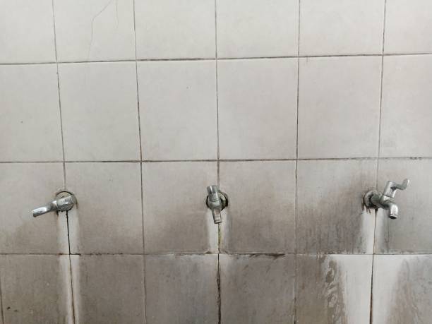 Best Water damage restoration cost  in Jim Thorpe, PA