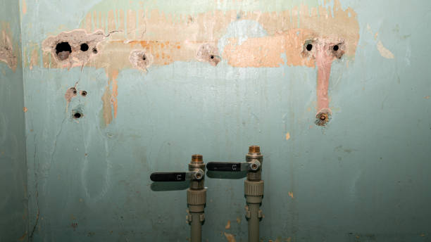 Best Flooded house restoration  in Jim Thorpe, PA