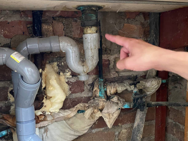 Best Residential water damage restoration  in Jim Thorpe, PA