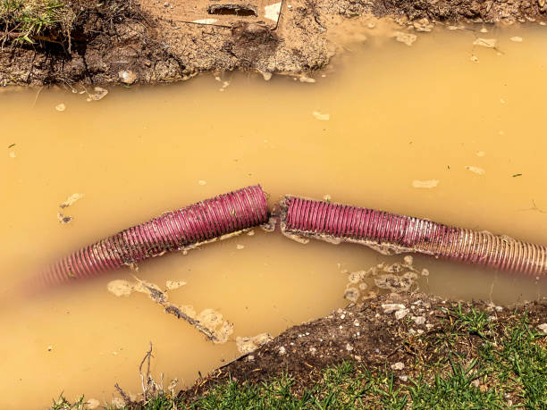 Best Flood restoration services  in Jim Thorpe, PA